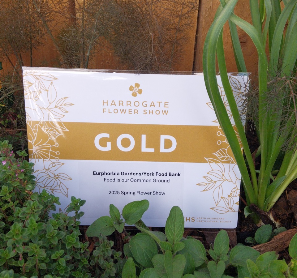 Harrogate Flower Show 2025 gold award for York Foodbank