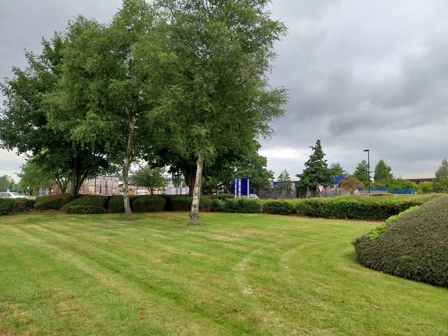 neatly cut lawn with trees