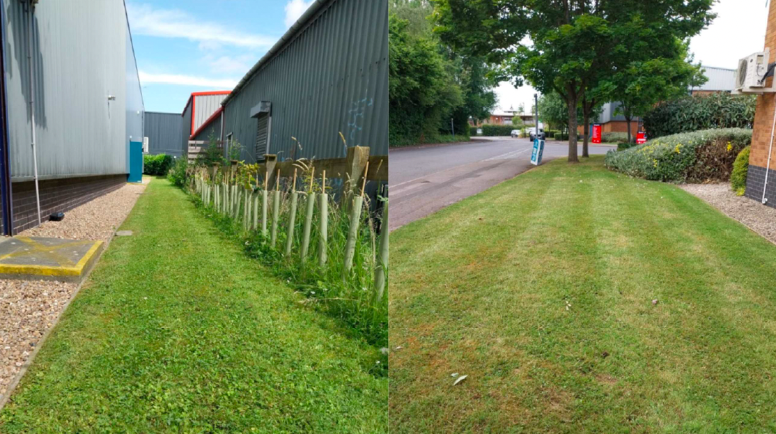 maintained lawns and growing plants at stirling park